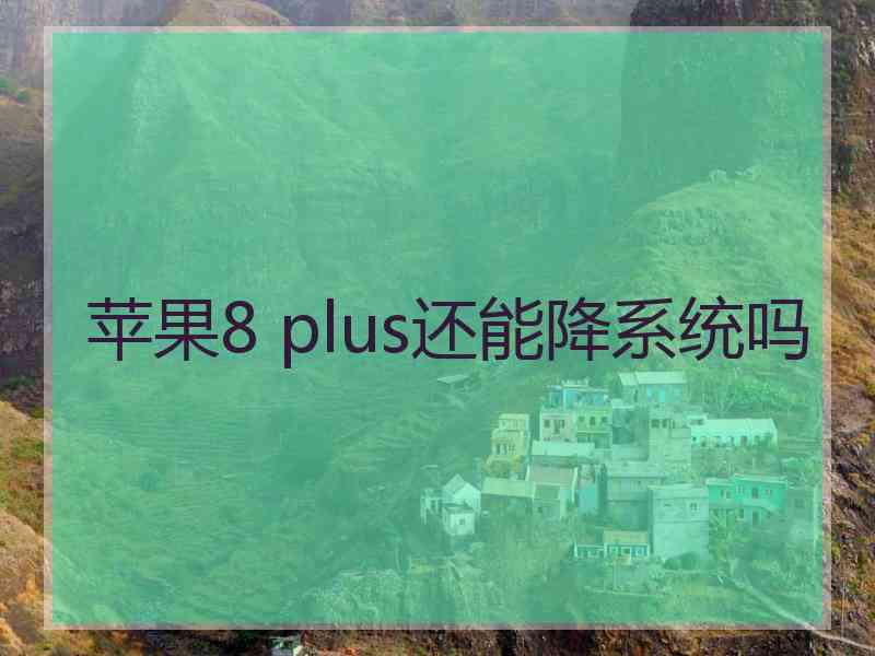 苹果8 plus还能降系统吗