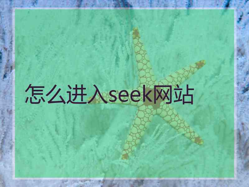 怎么进入seek网站