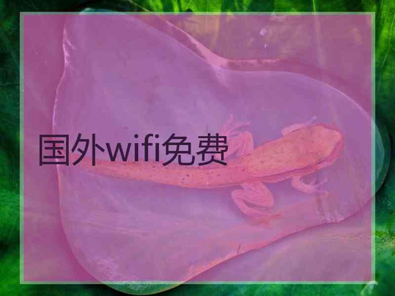 国外wifi免费