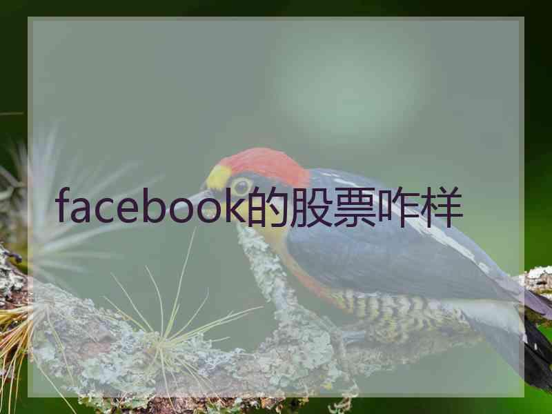 facebook的股票咋样