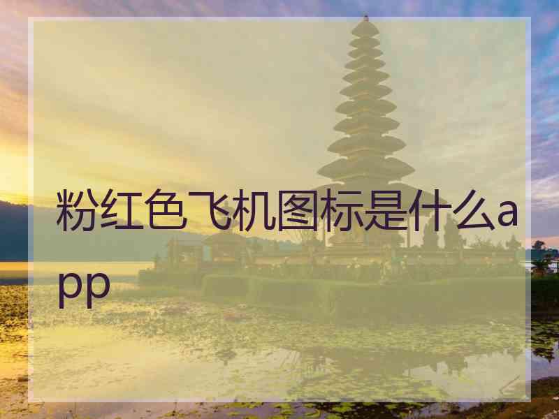 粉红色飞机图标是什么app