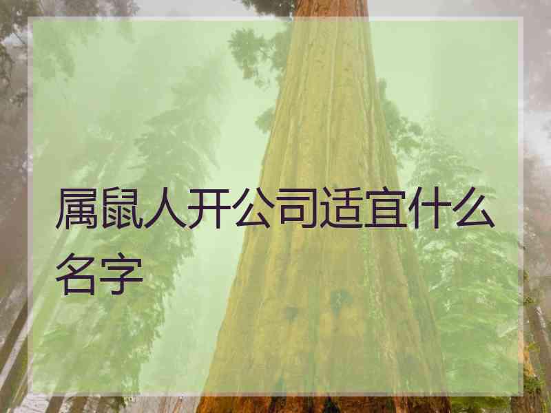 属鼠人开公司适宜什么名字