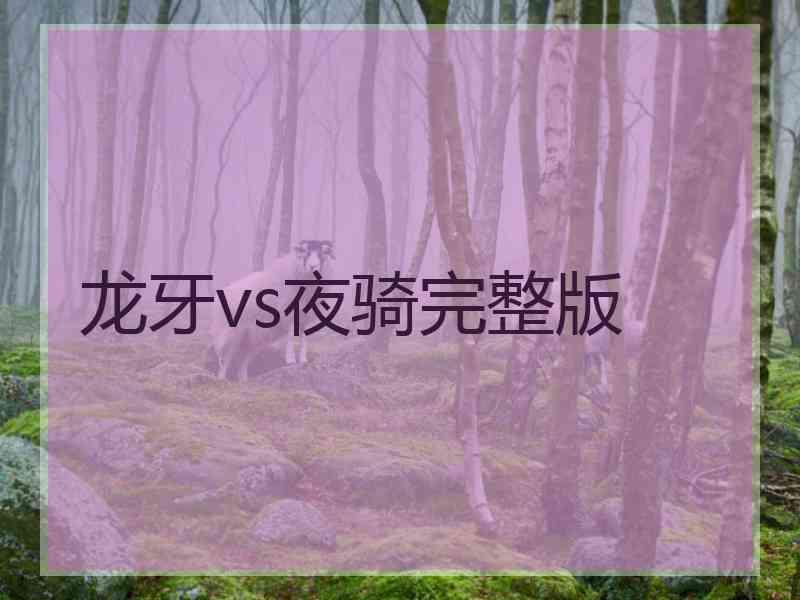 龙牙vs夜骑完整版