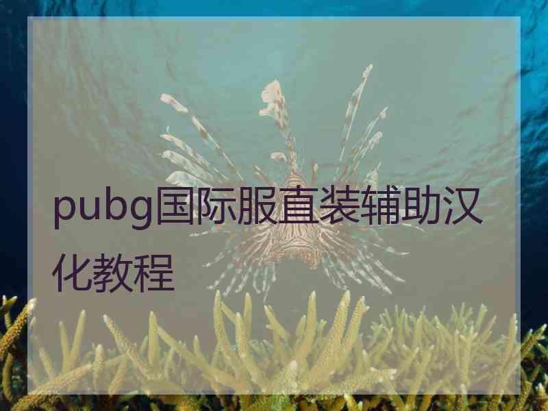 pubg国际服直装辅助汉化教程