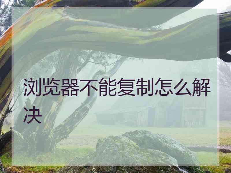 浏览器不能复制怎么解决