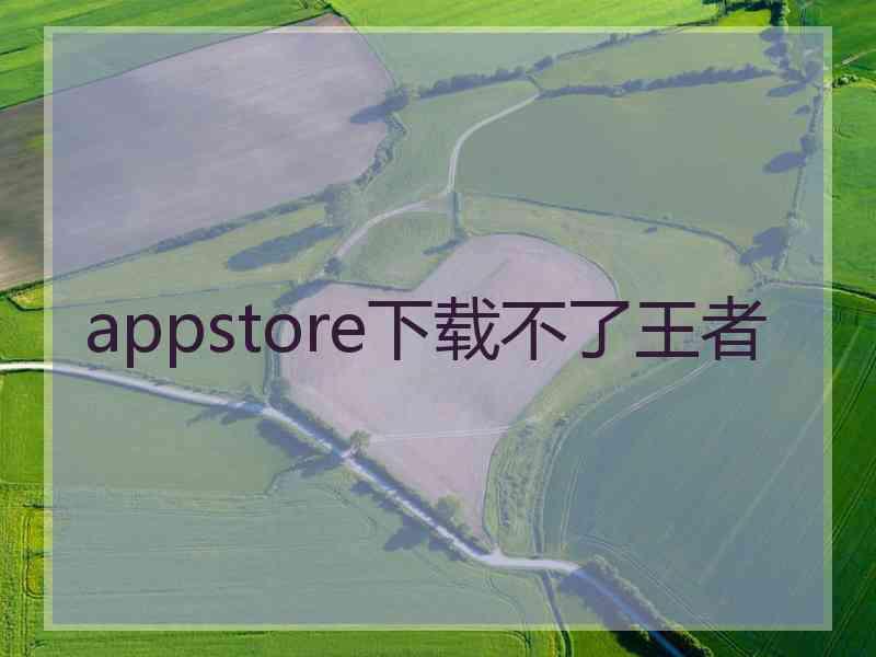 appstore下载不了王者