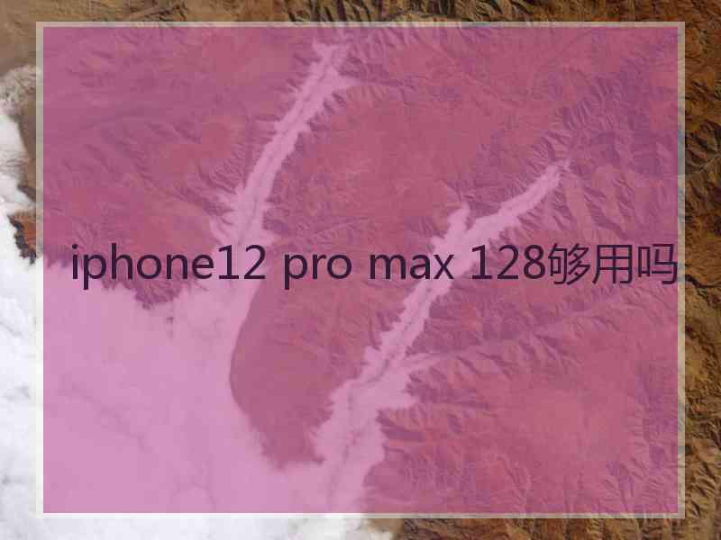 iphone12 pro max 128够用吗