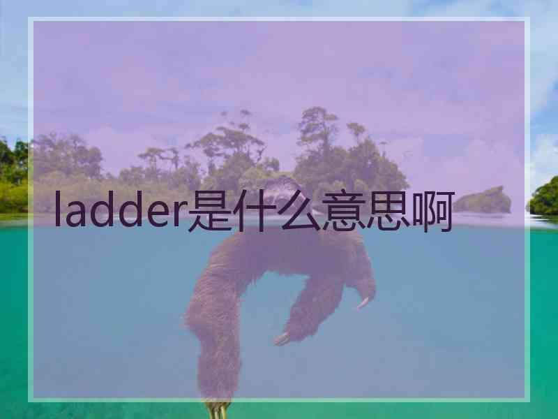 ladder是什么意思啊