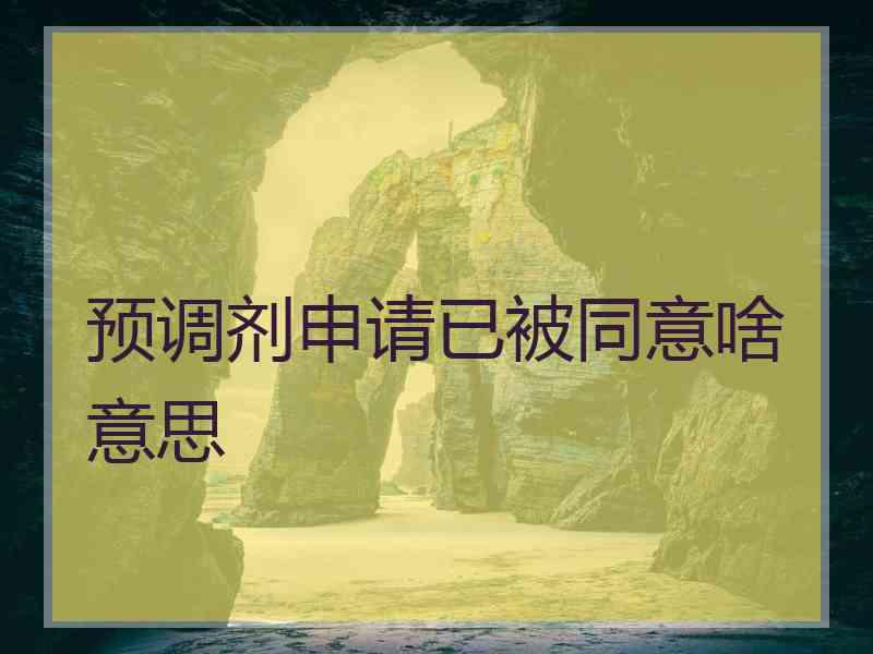 预调剂申请已被同意啥意思