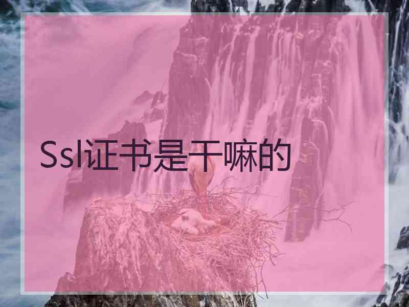 Ssl证书是干嘛的