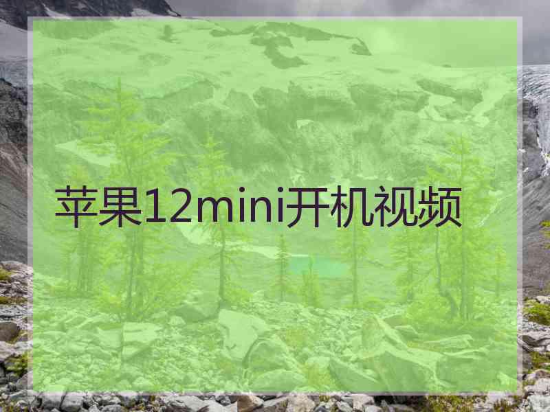 苹果12mini开机视频