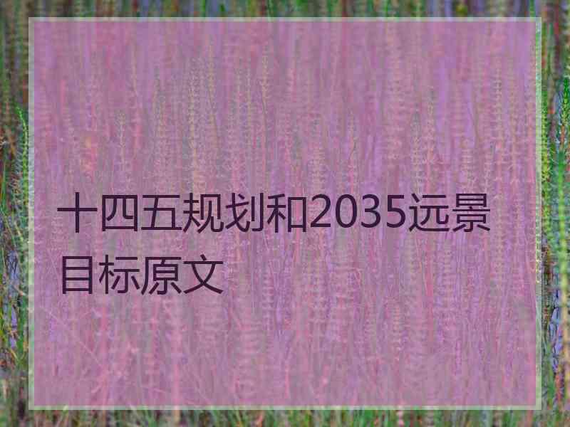 十四五规划和2035远景目标原文