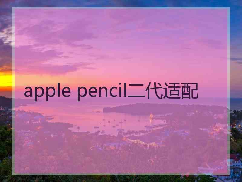 apple pencil二代适配