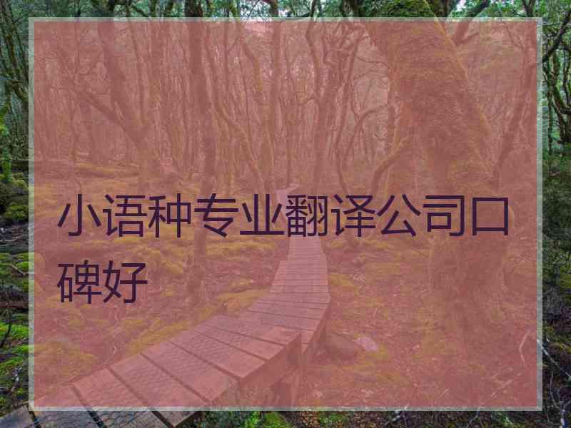 小语种专业翻译公司口碑好