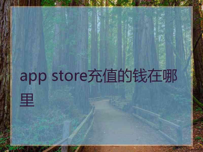 app store充值的钱在哪里