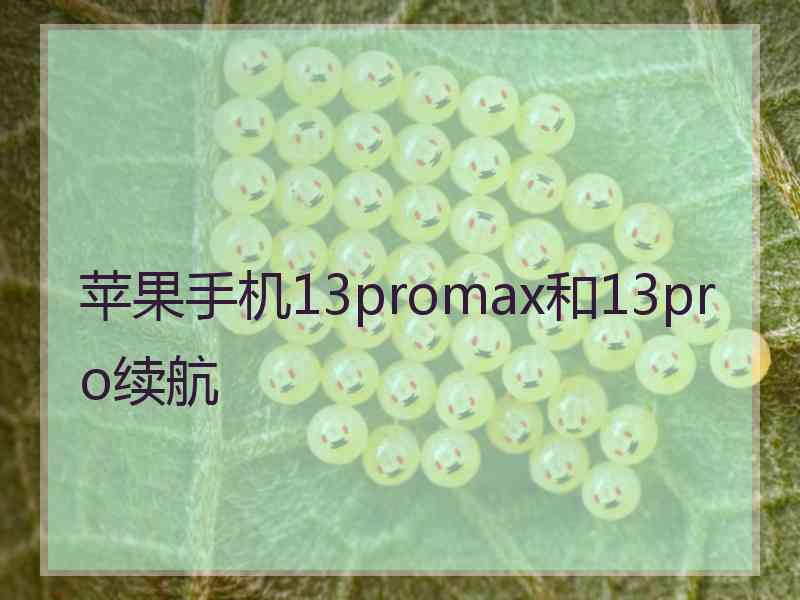 苹果手机13promax和13pro续航