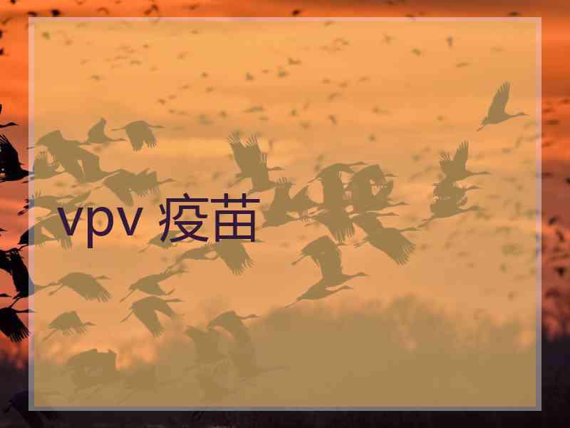 vpv 疫苗