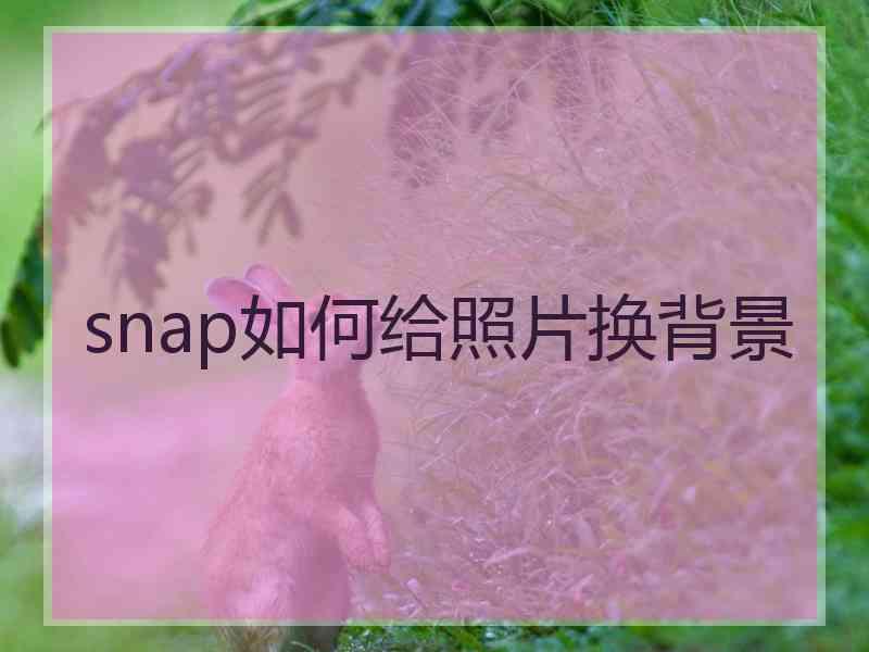 snap如何给照片换背景