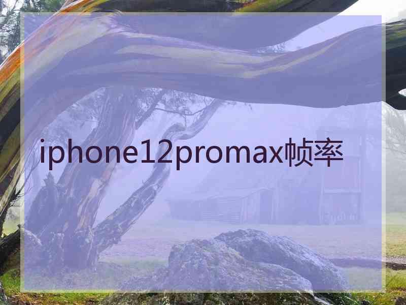 iphone12promax帧率