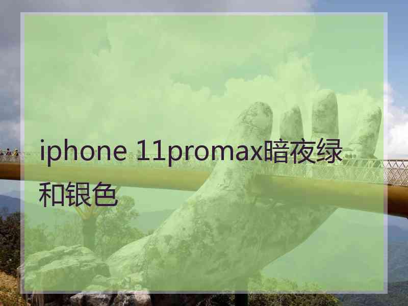 iphone 11promax暗夜绿和银色