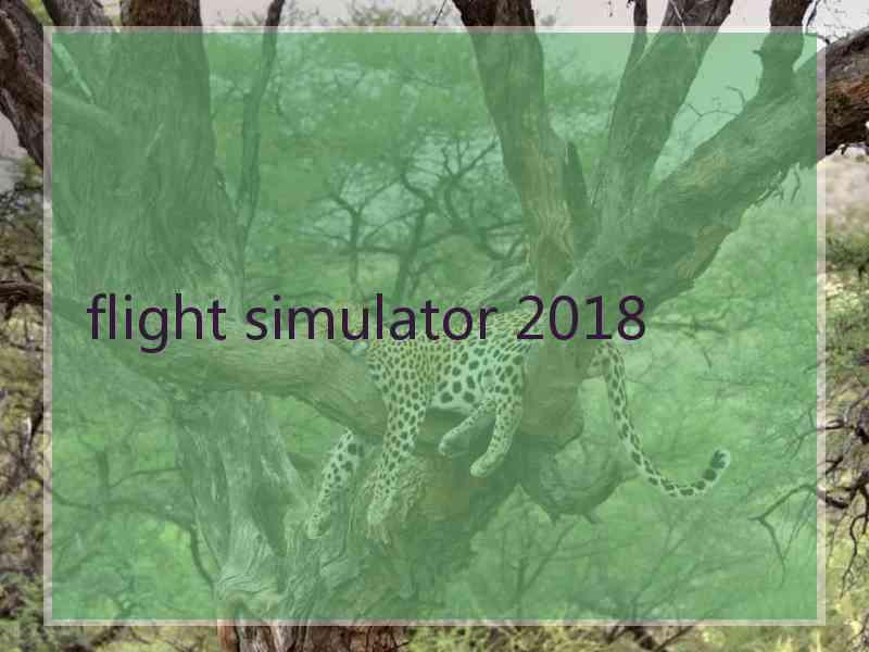 flight simulator 2018