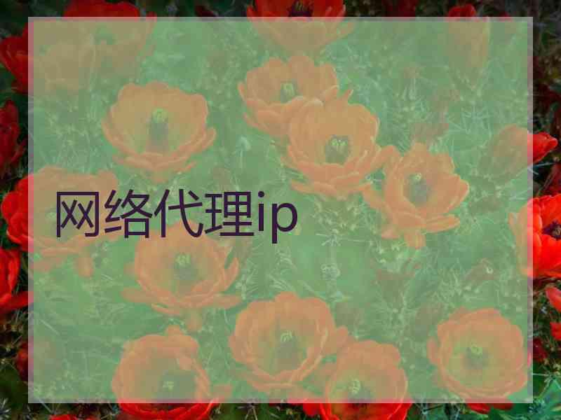 网络代理ip