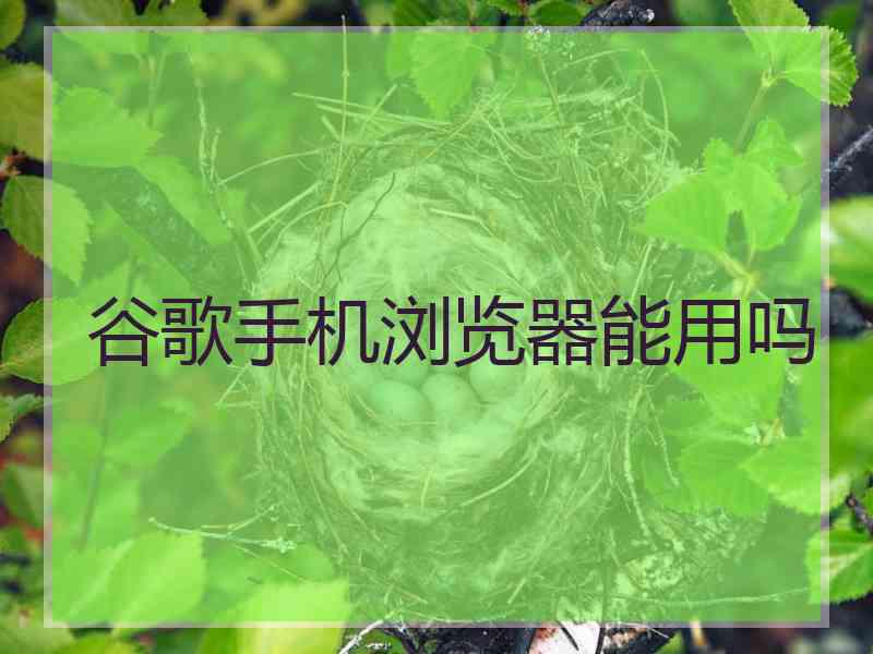 谷歌手机浏览器能用吗