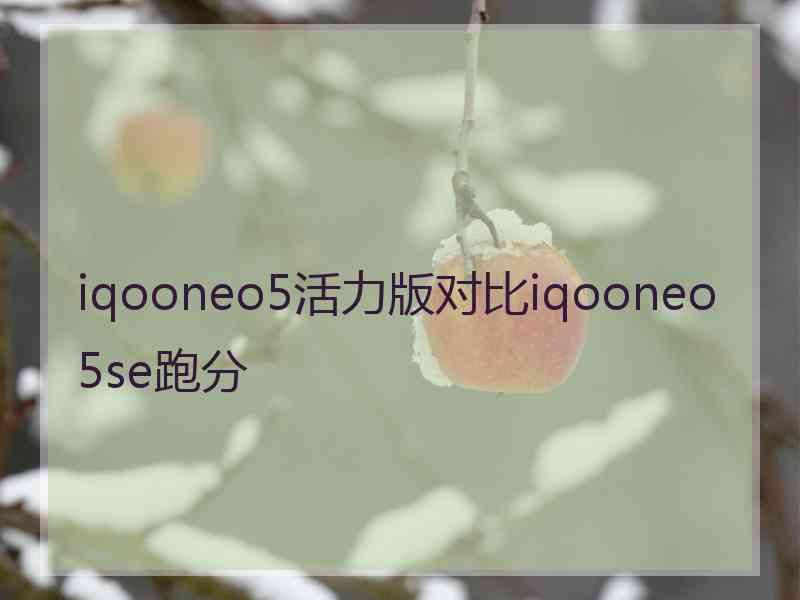 iqooneo5活力版对比iqooneo5se跑分