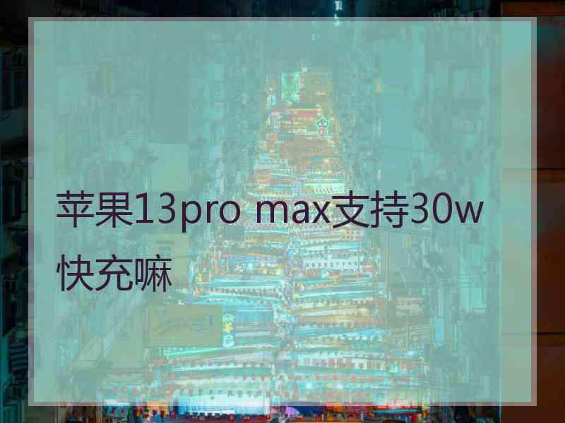 苹果13pro max支持30w快充嘛