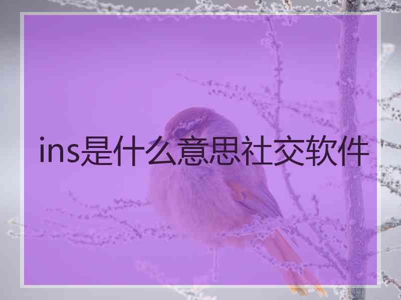 ins是什么意思社交软件