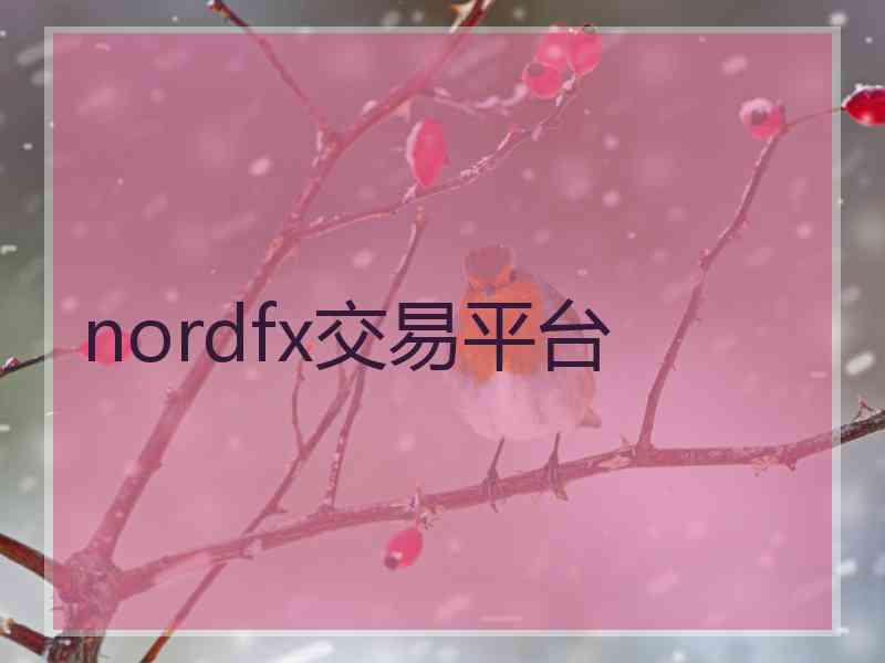 nordfx交易平台