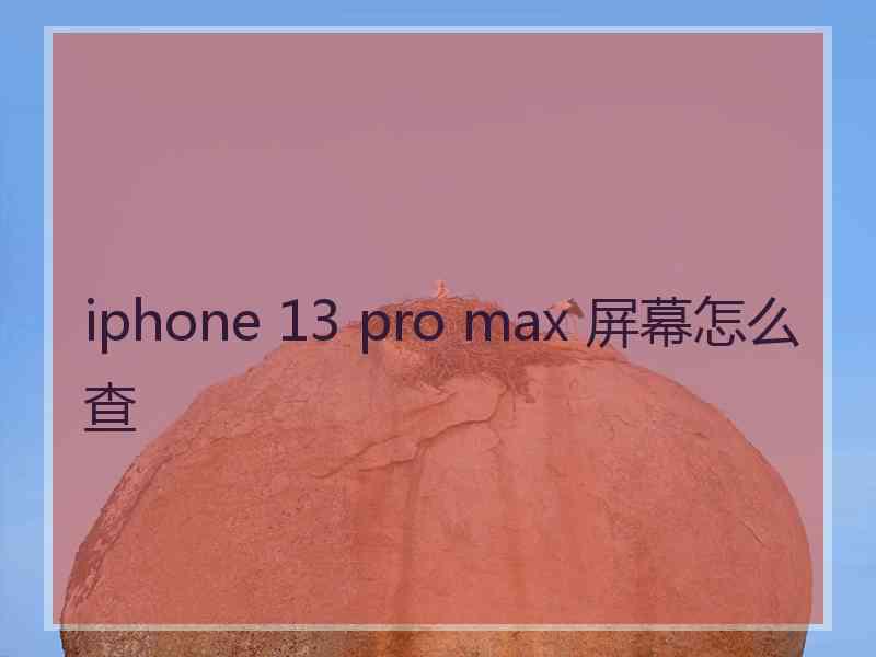 iphone 13 pro max 屏幕怎么查