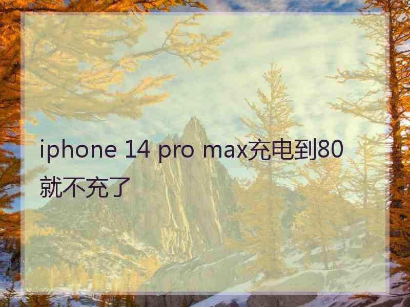 iphone 14 pro max充电到80就不充了