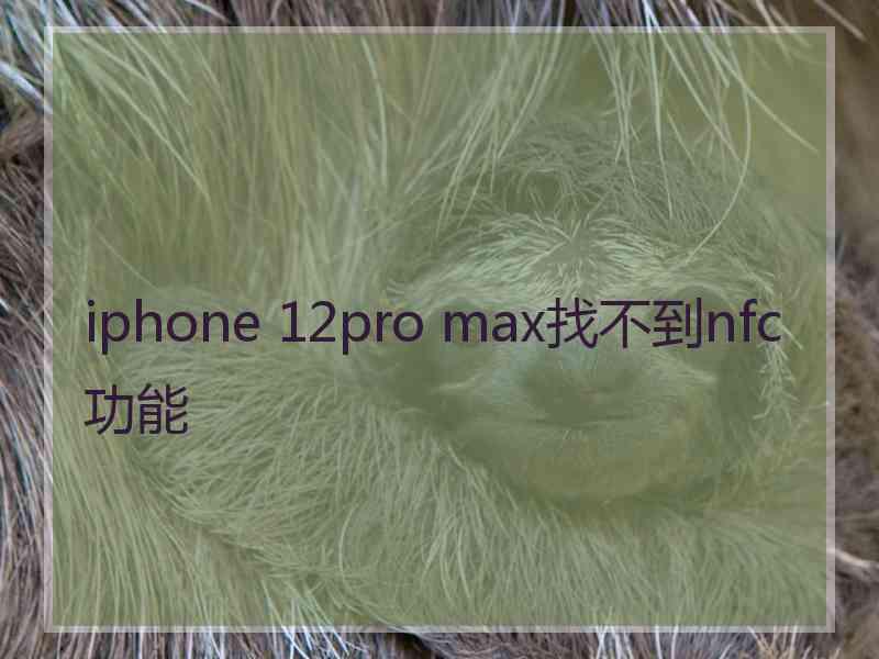 iphone 12pro max找不到nfc功能