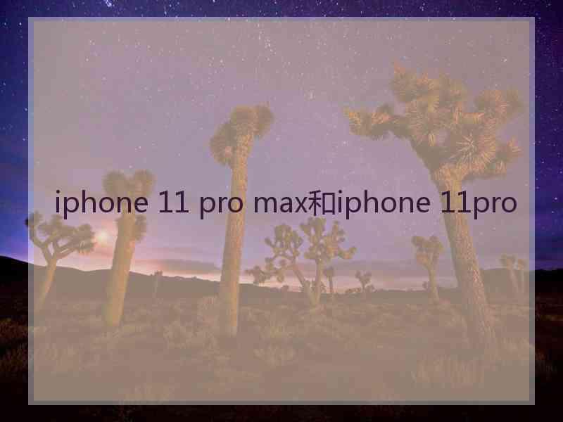 iphone 11 pro max和iphone 11pro