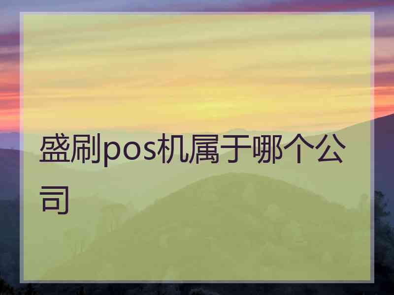 盛刷pos机属于哪个公司