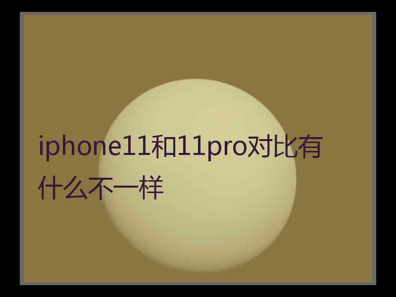 iphone11和11pro对比有什么不一样