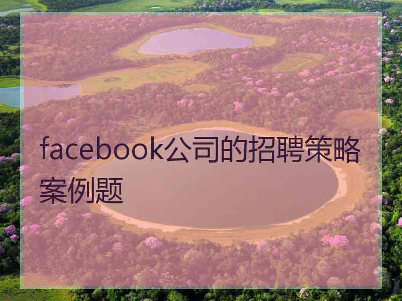 facebook公司的招聘策略案例题