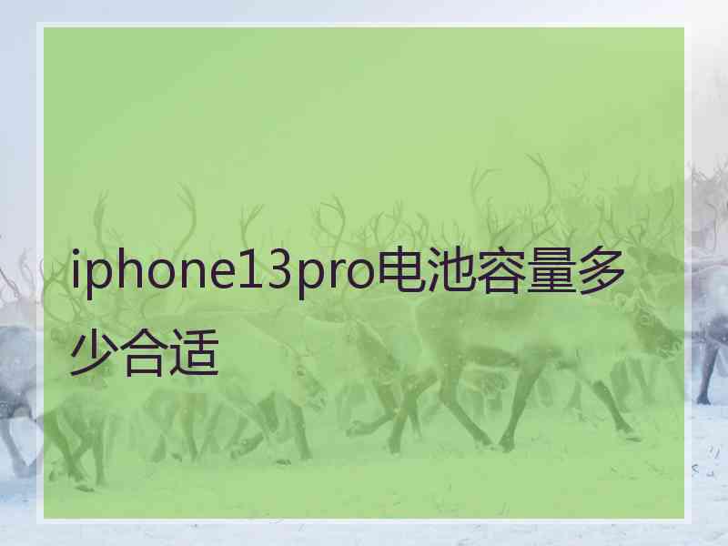 iphone13pro电池容量多少合适