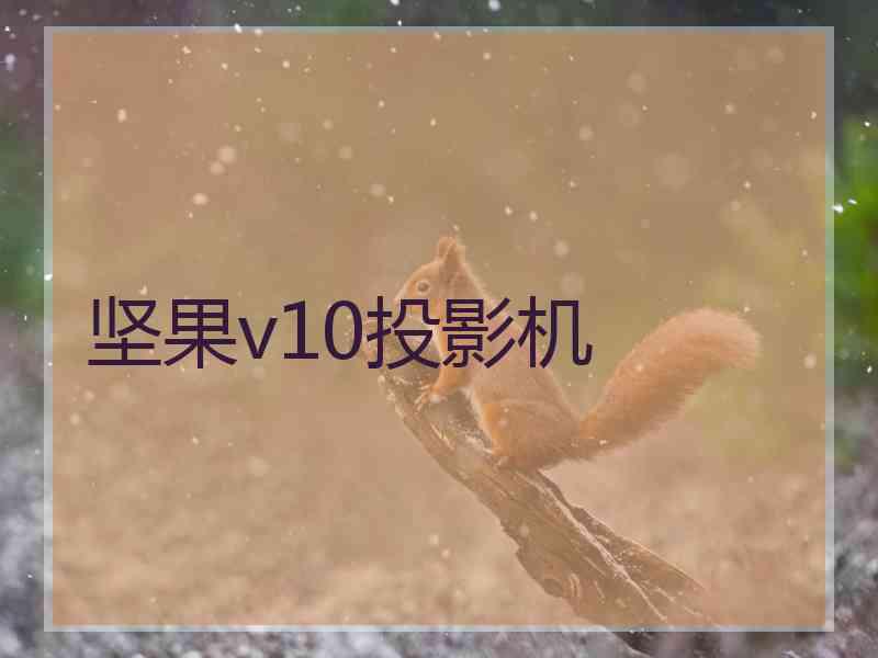 坚果v10投影机