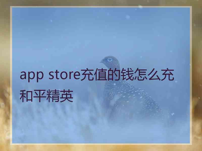 app store充值的钱怎么充和平精英