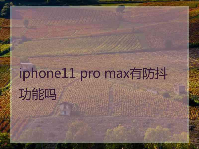 iphone11 pro max有防抖功能吗