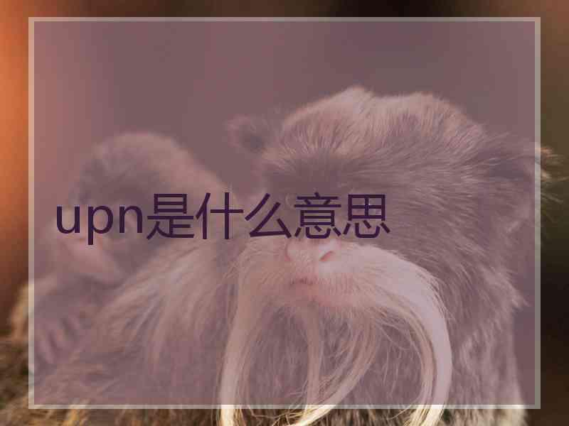 upn是什么意思