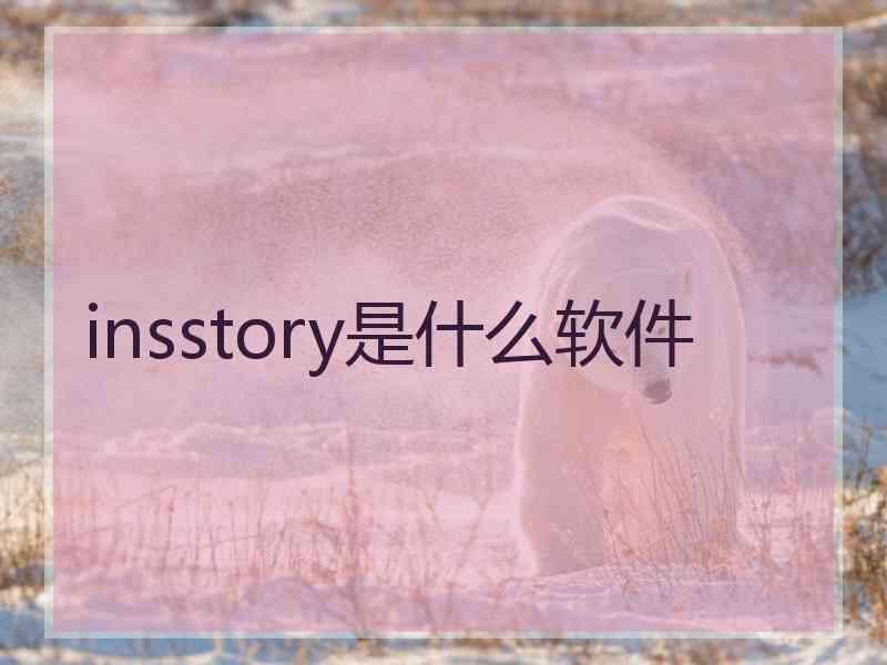 insstory是什么软件