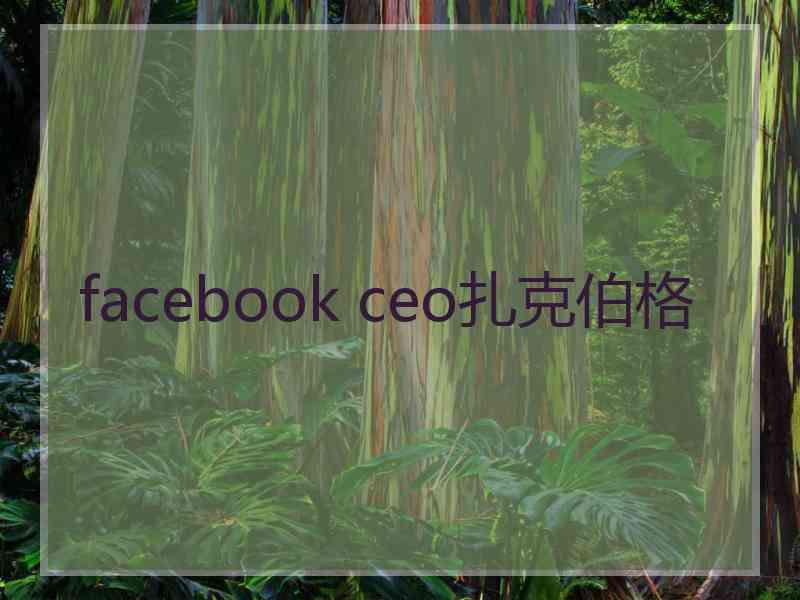 facebook ceo扎克伯格