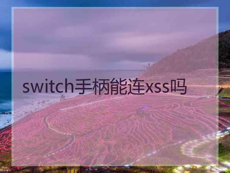 switch手柄能连xss吗