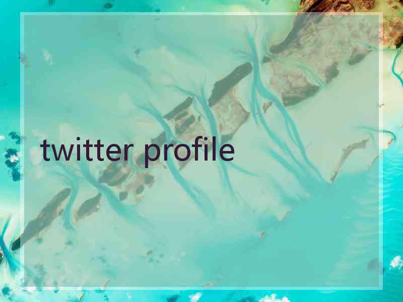 twitter profile