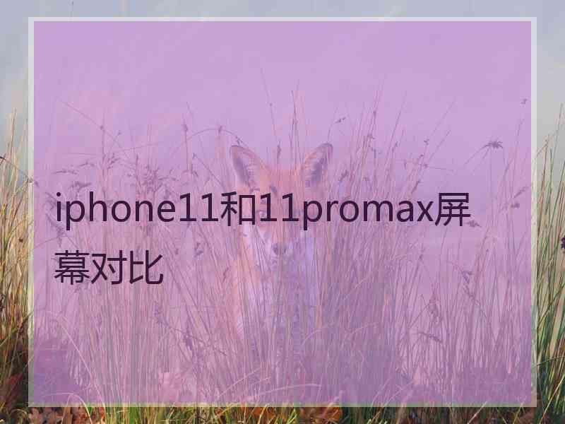 iphone11和11promax屏幕对比