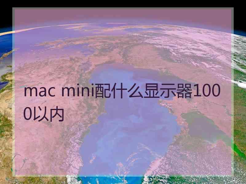 mac mini配什么显示器1000以内