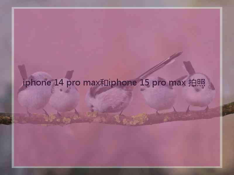 iphone 14 pro max和iphone 15 pro max 拍照